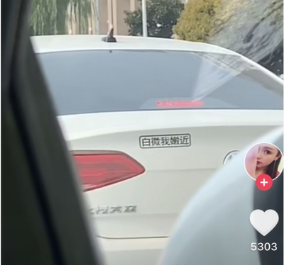 五保户你是年代步打工人汽车贴纸