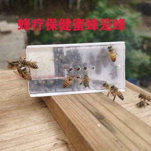蜂疗用活体蜜蜂群蜂针蜂蛰蜂毒亲子娱乐活体蜂蜜亲子宠物中蜂笼蜂