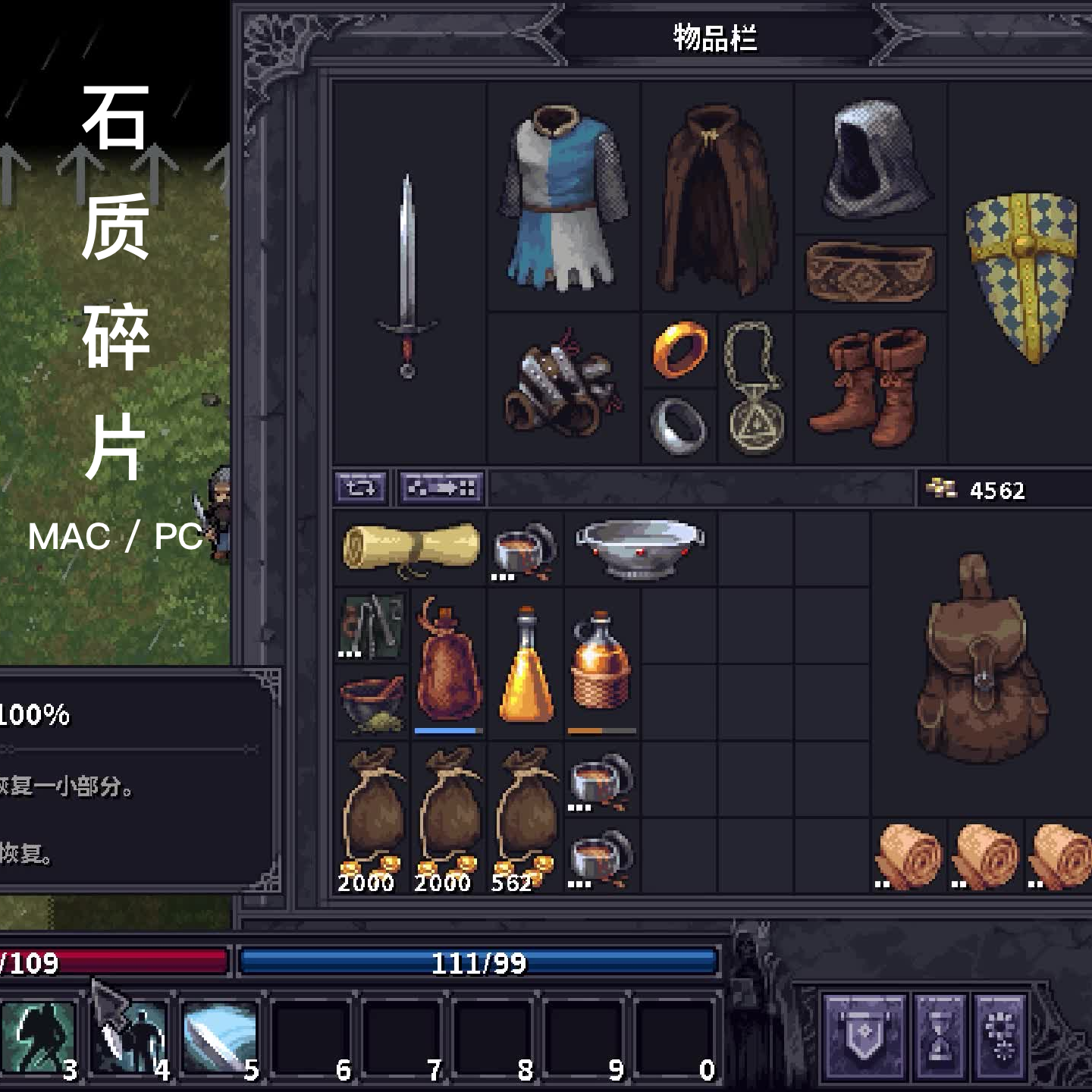 Mac/Win 石质碎片 紫色晶石 Stoneshard 类暗黑 苹果电脑游戏
