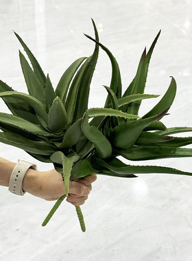 高仿真芦荟绿色植物假花沙漠绿植多肉龙舌兰热带展馆橱窗布景用