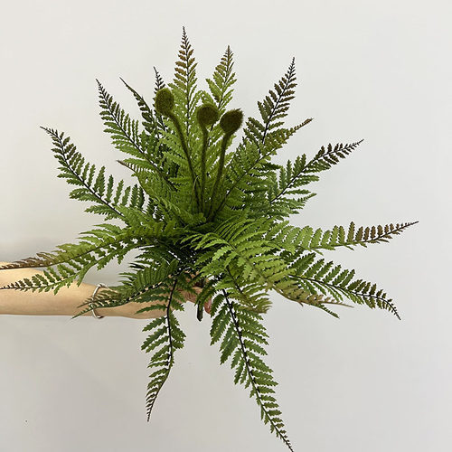 仿真波斯草大蕨叶布景装饰植物