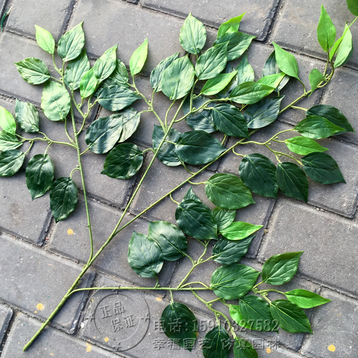 仿真树叶樟树叶手感过胶香樟树叶树枝 香樟叶假枝叶工程装饰树叶