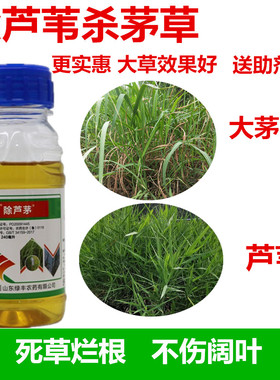 甲禾灵专杀芦苇茅草杨树园林油茶园池塘河边打牛筋草马塘除草药剂