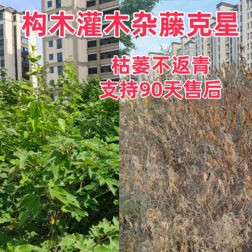 除构木楮实子假杨梅酸枣荆条葛藤拉拉秧杂灌木杂藤类草药剂除草剂