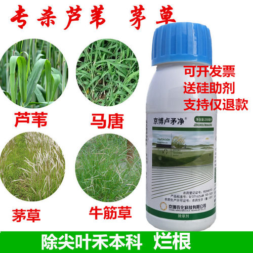 专杀芦苇茅草牛筋草烂根效果好