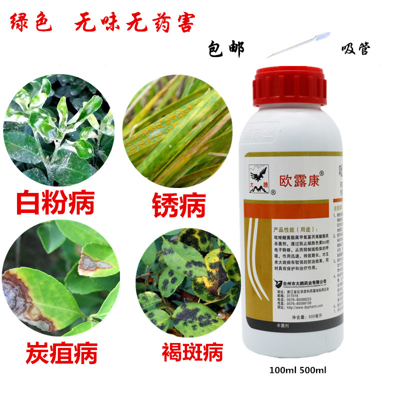 吡唑醚菌酯新三唑酮粉锈宁果树锈病月季药多肉药花卉白粉病杀菌剂