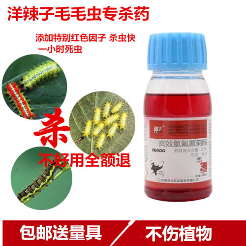 洋辣子刺蛾毛毛虫专杀特效死虫快