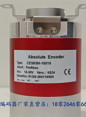 CES65M-10019