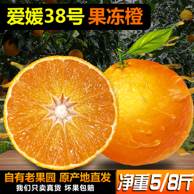 四川爱媛果冻橙38号新鲜水果眉山特产丹棱浦江手剥橙子柑橘红美人