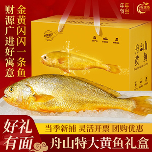 舟山大黄鱼礼盒装深海小黄花鱼鲜活生鲜海鲜海鱼年货礼盒新鲜水产
