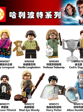 WM6041哈利波特邓布利多迪戈里益智拼装人仔儿童益智玩具兼容国产