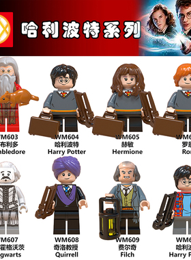 国产WM6047哈利波te费尔奇赫敏75954益智拼装积木人仔玩具71022