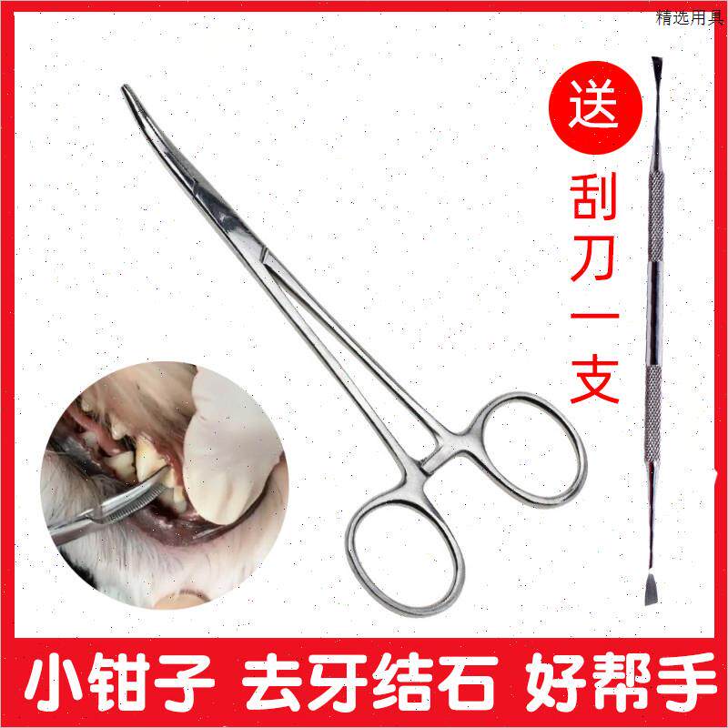 狗狗去牙结石工具除牙齿牙垢清洁止血钳子猫咪口腔清理宠物洁牙器