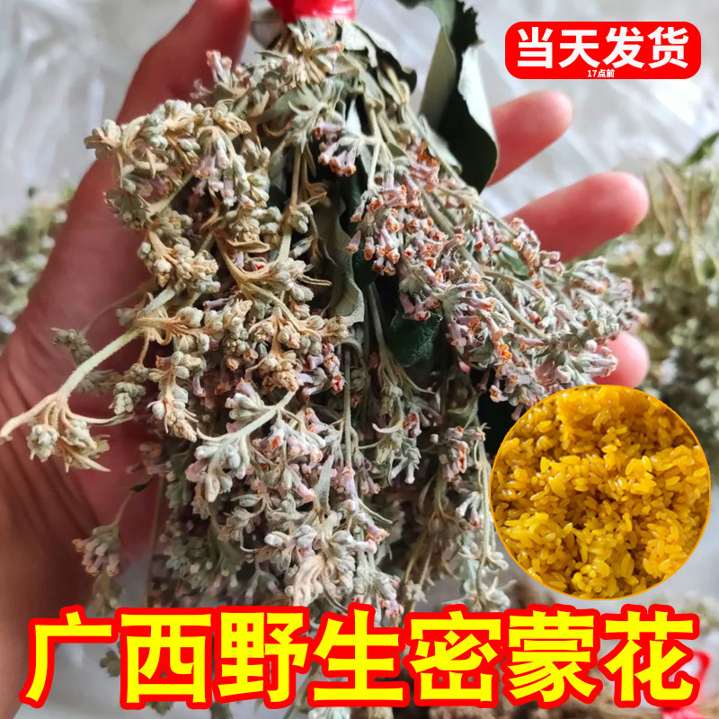 广西特产新鲜密蒙花干糯米饭染色材料2026新货五色黄饭花植物染料