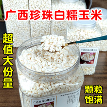 广西特产糯玉米头粥忻城珍珠白糯玉米粒脱皮干玉米玉米碴子煮粥用