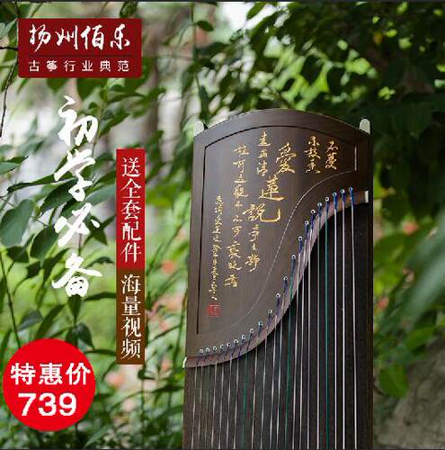 天天特价初学入门古筝专业学习考级古筝乐器全套演奏楠木刻字古筝
