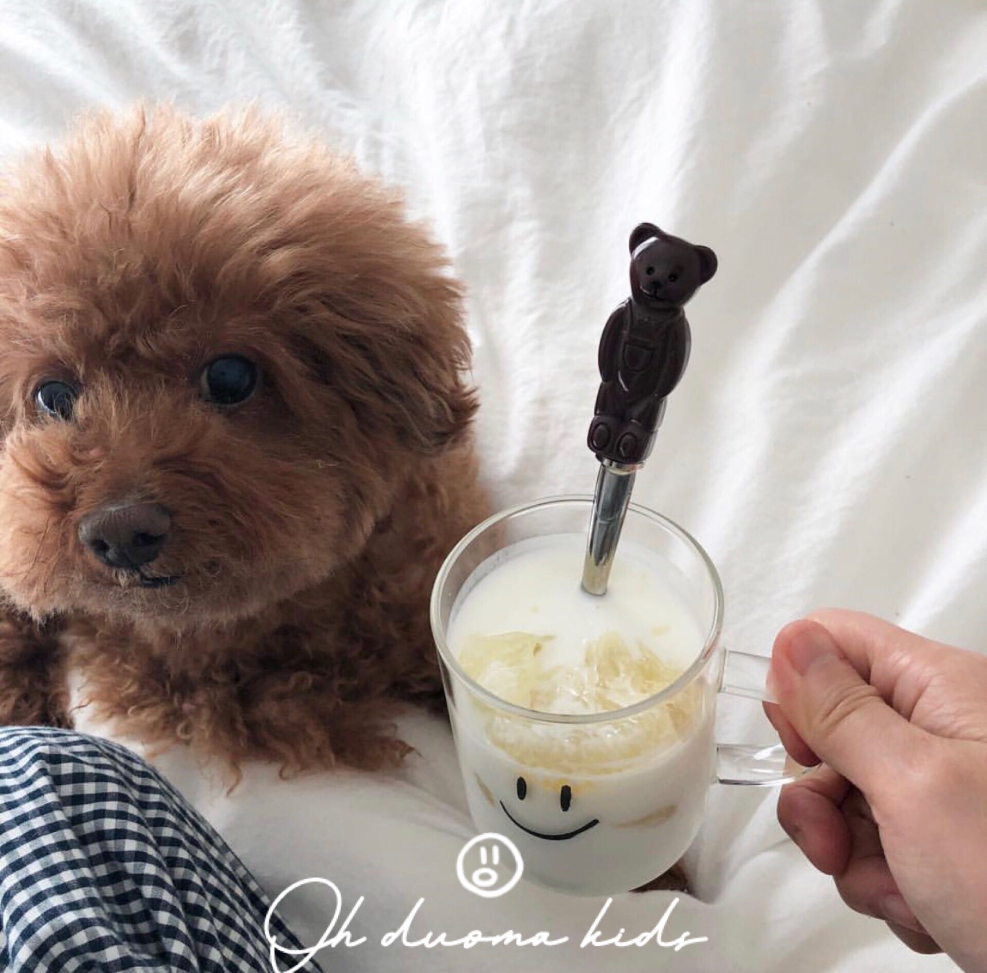 88 现货 来自思密达 韩国的治愈系笑脸餐具笑脸玻璃餐具【不退换