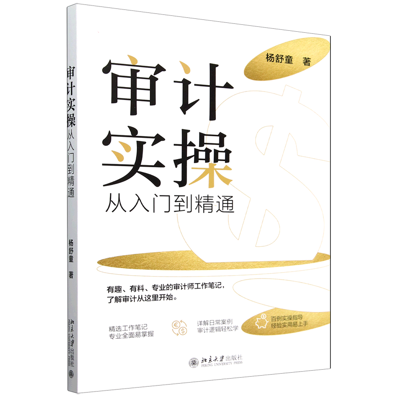 审计实操从入门到精通