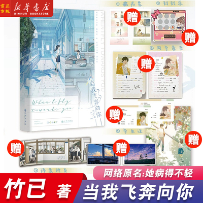 当我飞奔向你小说磨铁