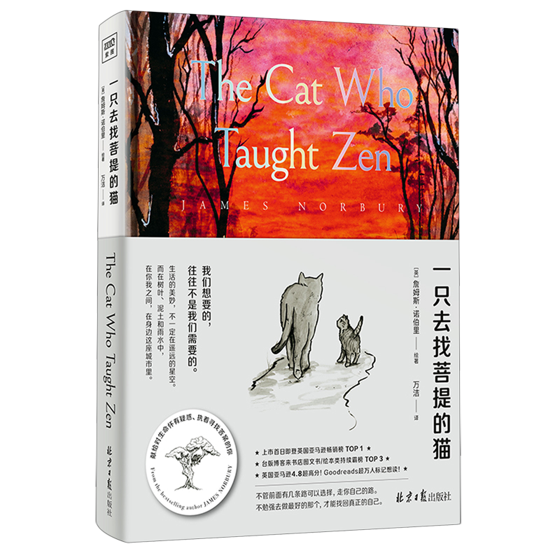 一只去找菩提的猫