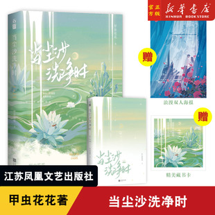 当尘沙洗净时 甲虫花花著已完结新番外花火都市温暖浪漫治愈甜宠言情小说巴掌印