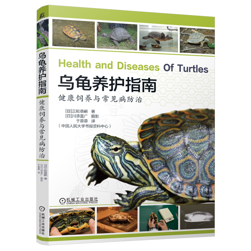 乌龟养护指南:健康饲养与常见病防治