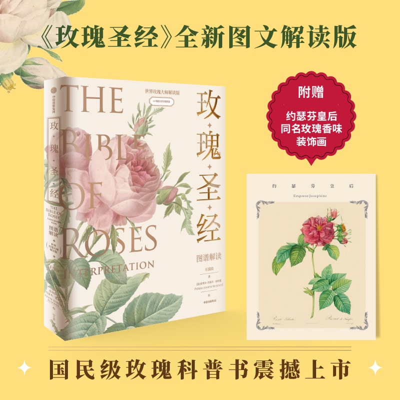 【赠玫瑰香味装饰画】《 玫瑰圣经》图谱解读 王国良等著无穷小亮张辰亮推荐玫瑰科普书 中信出版社 正版书籍 新华书店