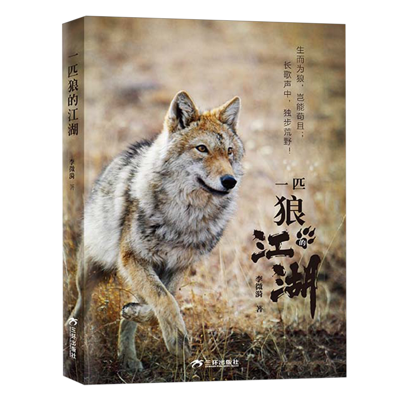 一匹狼的江湖