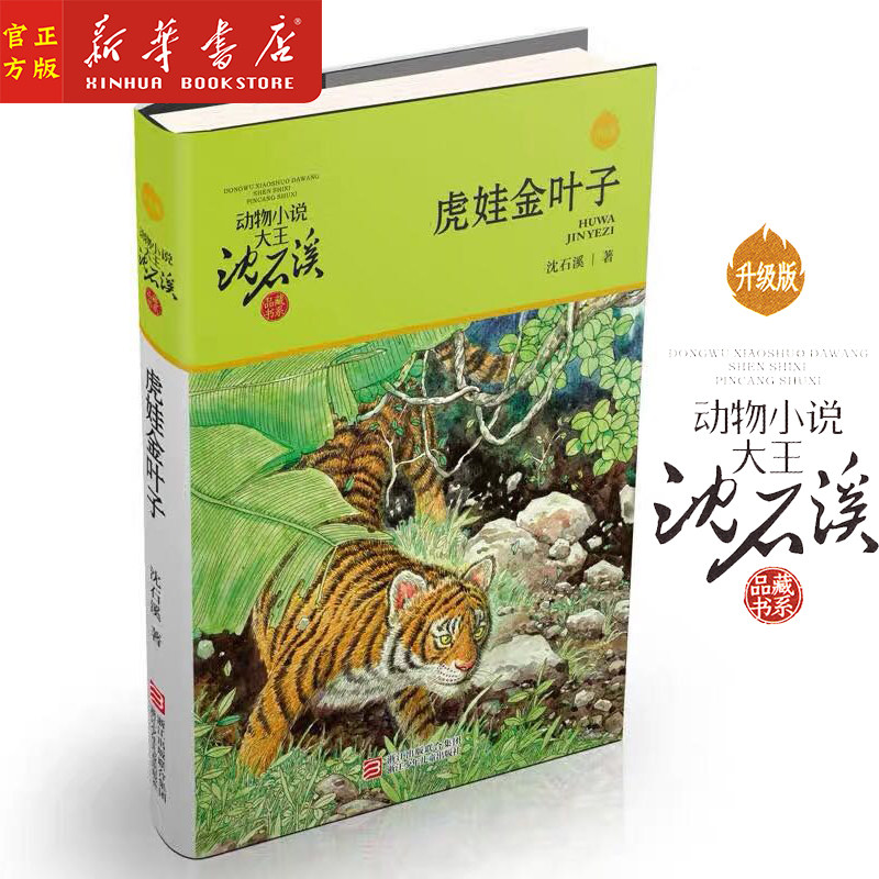 新华书店正版 虎娃金叶子(升级版)/动物小说大王沈石溪品藏书系 儿童