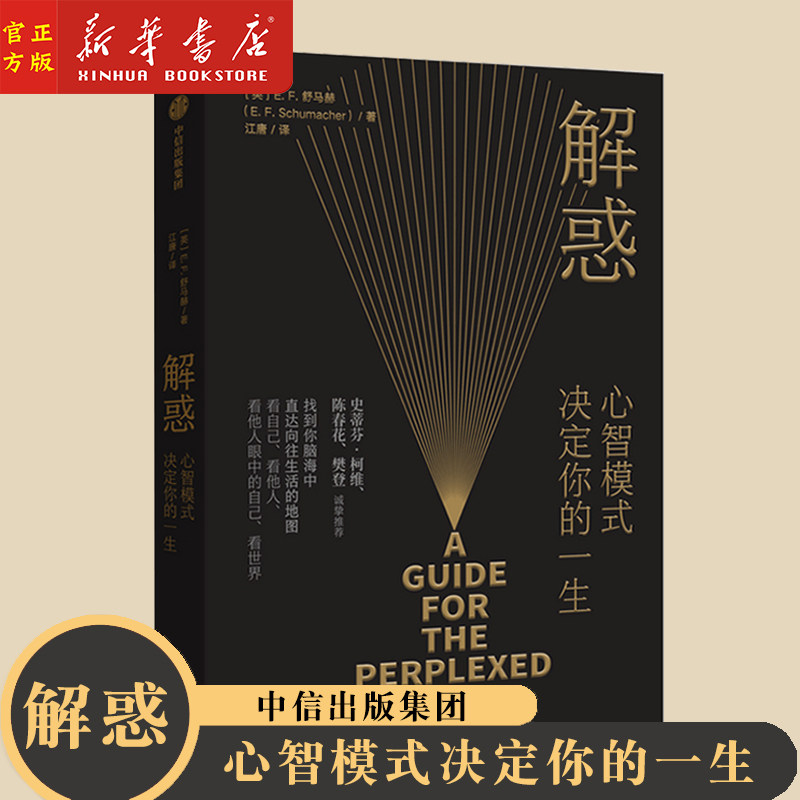 新华正版 解惑:心智模式决定你的一生 (英)E·F·舒马赫 著 史蒂芬·科维 诚挚推荐 人生励志成长书籍 中信出版集团