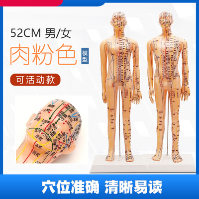 中研太和52cm练针模型新款包装
