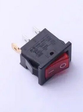 RS601B-101N001R1B RS601B-101N001R1B 插件,21x15mm 船型开关