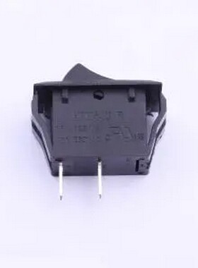 R-2-110-C5N-BB 32*16.5开关无灯 插件 船型开关