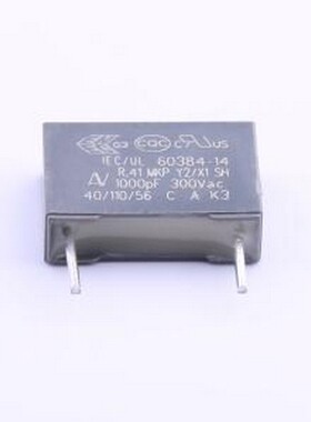 R413F11000000K 安规电容 等级:X1,Y2 1nF ±10% 300V 插件,P=10m