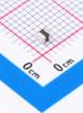 CBC2016T100M 功率电感 10uH ±20% 380mA 0806