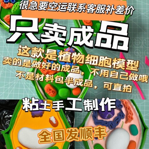 加钱顺丰直拍成品植物动物粘土细胞模型制作结构初中高中生物定制