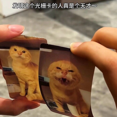 耄耋小猫光栅卡变换搞怪可爱哈基咪曼波小卡鬼畜抽象礼物送朋友