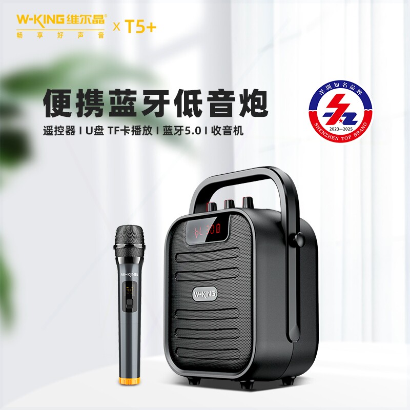 低音炮音响送长辈带收音机功能维尔晶 T5+手提式户外便携蓝牙音箱