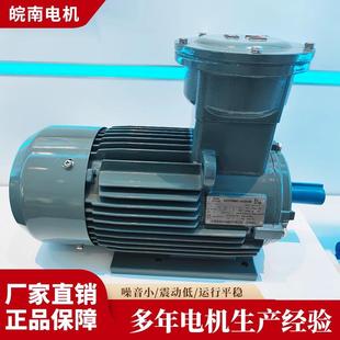 皖南电机防爆电机YBX3/YBX4/YBX5系列三相异步电动机气体防爆电机