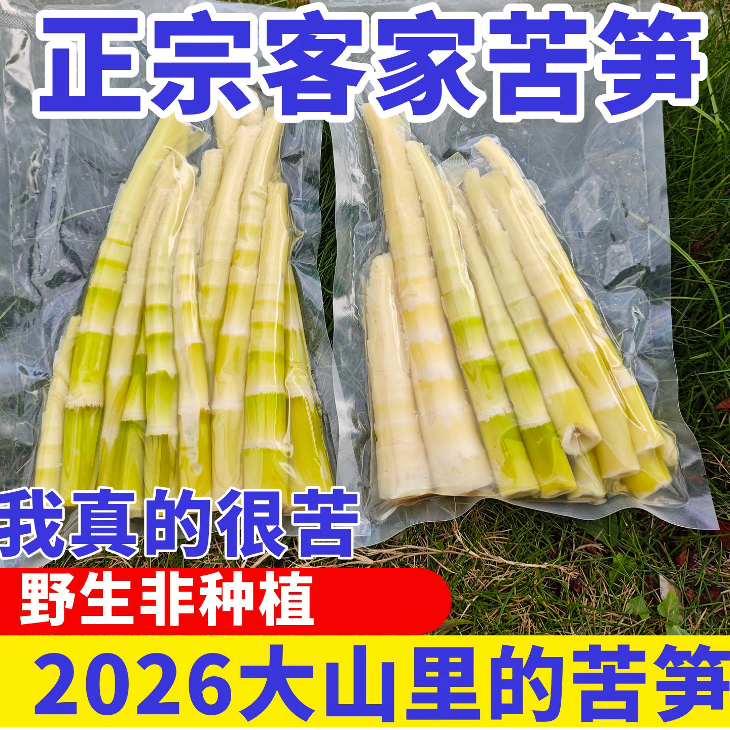 苦笋新鲜野生客家大洋苦笋清水笋冬笋春笋竹笋非雷笋野菜时令野菜