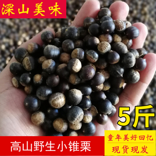 野生小锥栗米锥子板栗勾圆子新鲜毛栗子刺锥带壳板栗山货坚果包邮