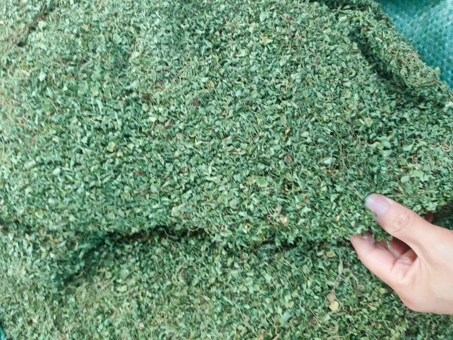野生小叶金钱草马蹄金荷苞草铜钱草肉馄饨草金锁匙新晒干货500克