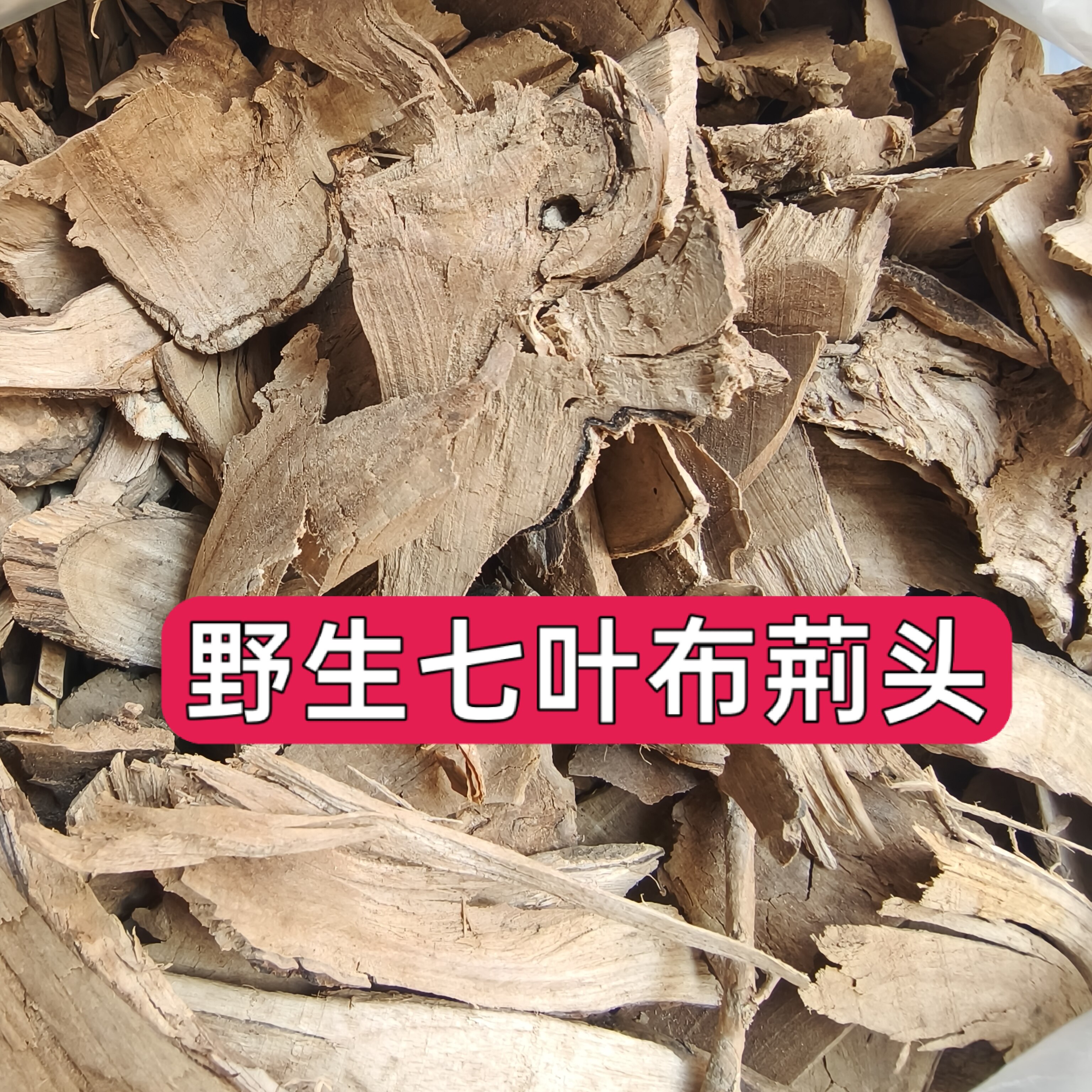 七叶布荊野生七叶浦江头布姜头山埔惊头 加鳗鱼头吃骨刺500克包邮
