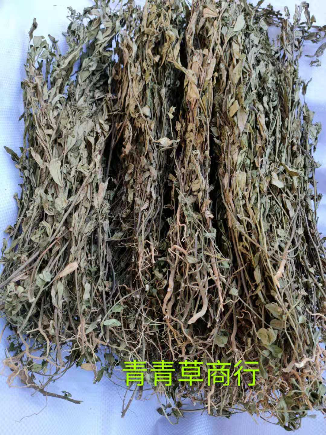 野生短小蛇根草荷包草金锁匙鸡冠草白丁香向日癀金铃仔草乌枪头民