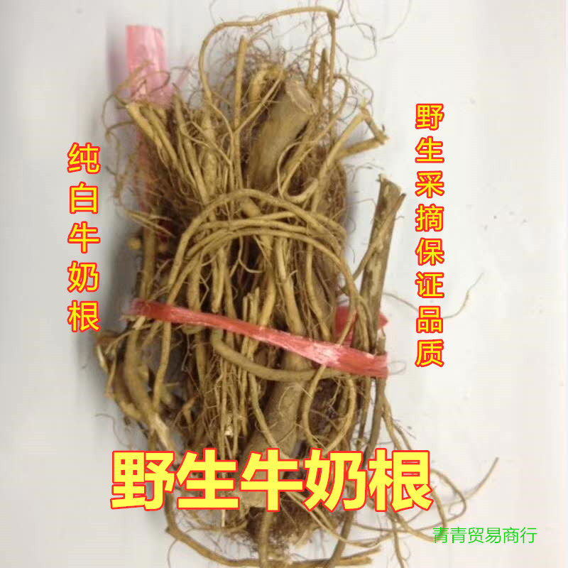 野生白牛奶根牛乳树根福建特产下奶煲汤客家草根养生炖汤料包邮