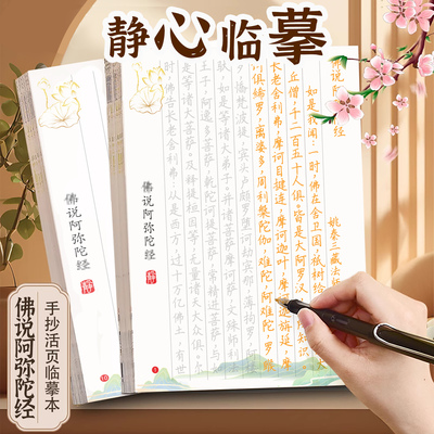 佛说阿弥陀经手抄本硬笔临摹简体静心抄经本初学者字帖经书抄写本