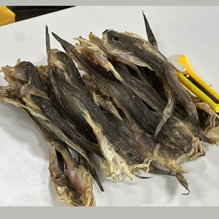 渔家自晒小鱼干咸鱼胖头鱼干海鲜干货海鱼干扔巴鱼海鲶鱼干500克