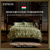 ESTEEM 宜庭莫里斯荣耀可水洗95鹅绒子母被
