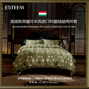 ESTEEM/宜庭莫里斯荣耀可水洗95鹅绒子母被