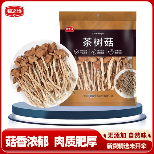 茶树菇干货煲汤食材肴之缘
